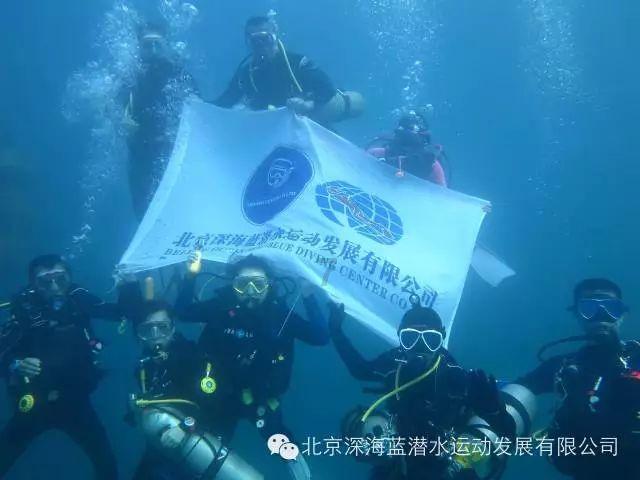 救援甜蜜熊
