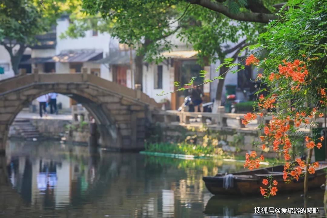 打造特色医药发展联合体 2024湖南大健康行业高质量发展大会召开